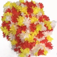 Oeteldonk Hawaii krans - Afbeelding 3